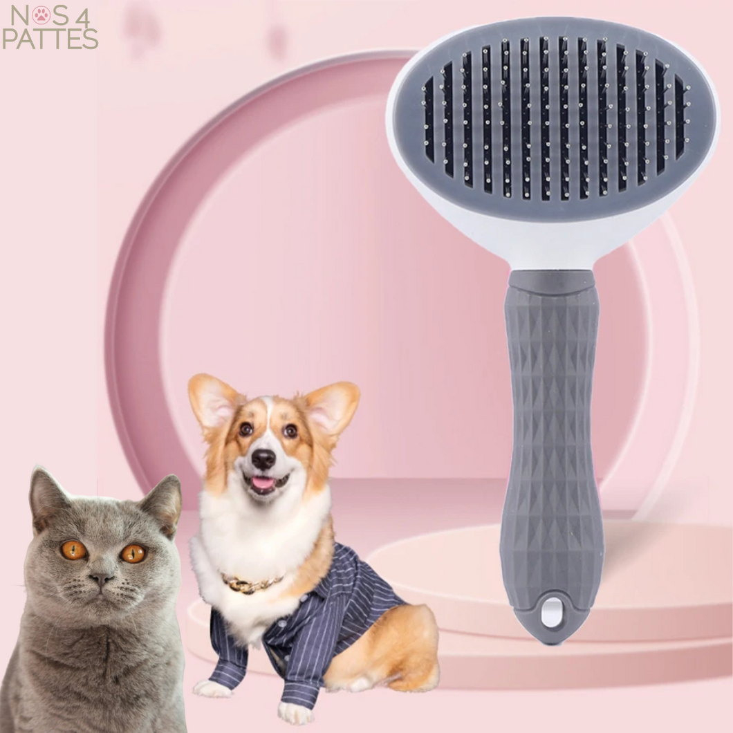 brosse chien chat nos 4 pattes