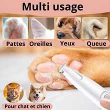 Charger l&#39;image dans la galerie, Mini tondeuse pour chat / chien avec lumière intégrée
