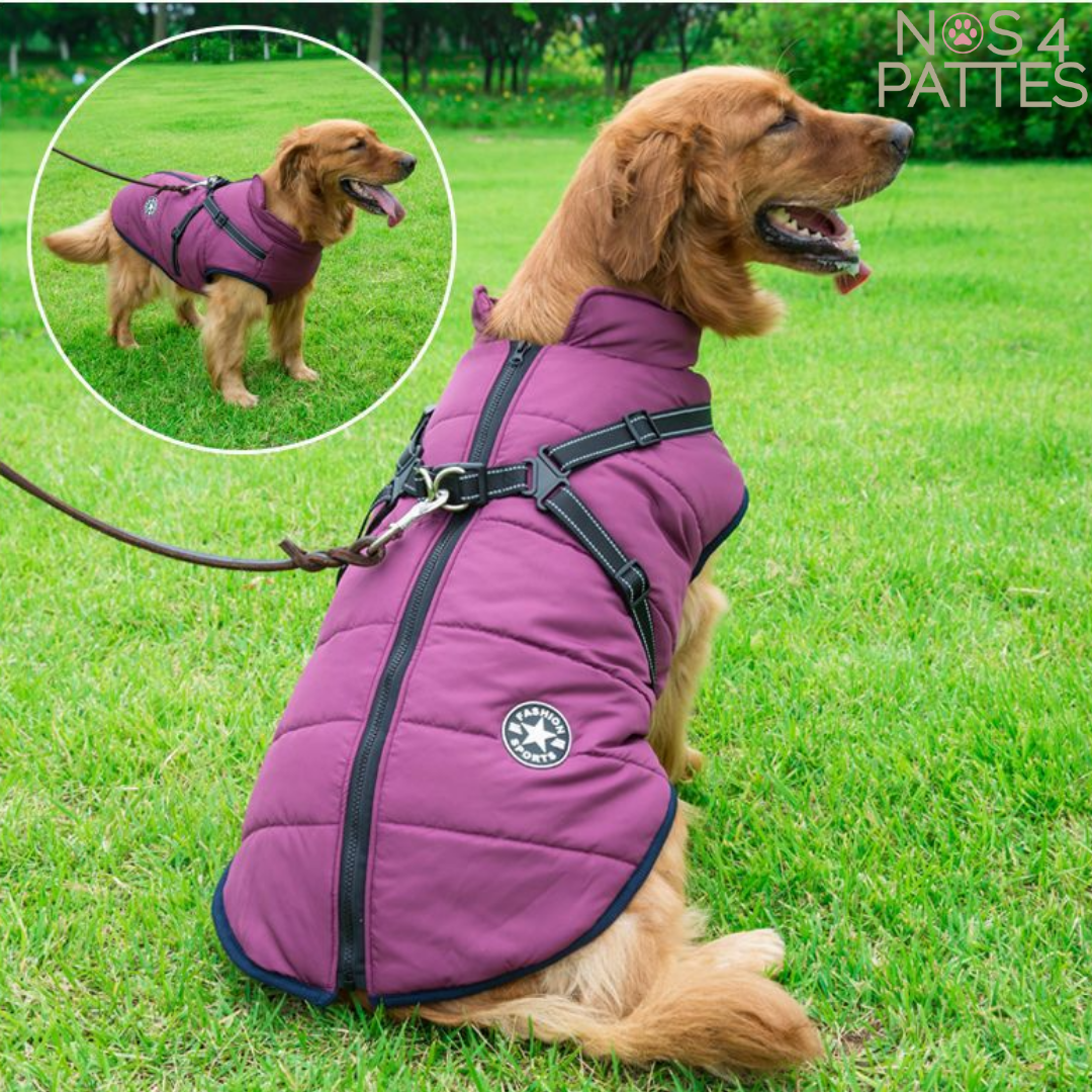 manteau avec harnais intégré pour chien