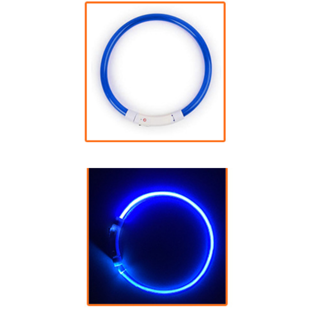 ▷ Collier pour chien lumineux led