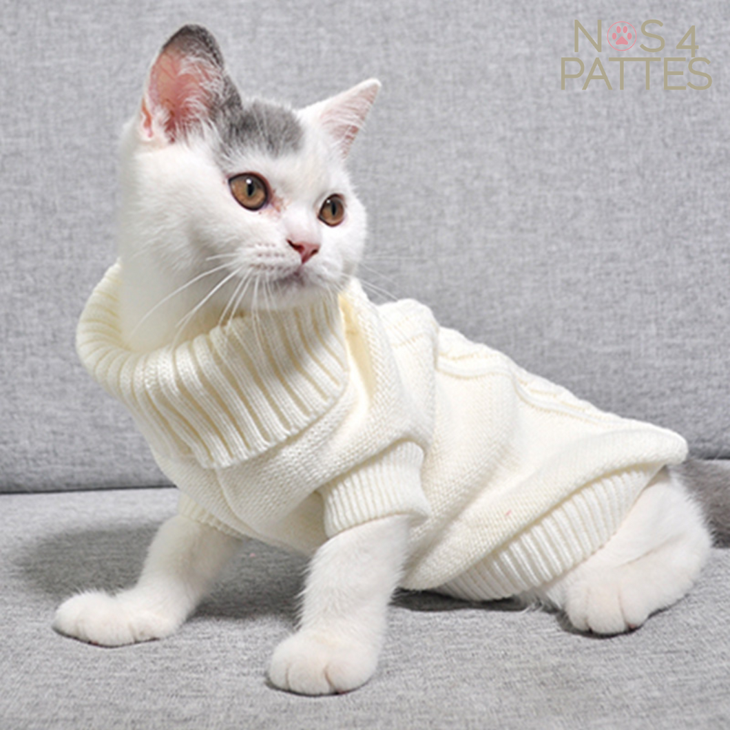 pull tricot pour chat ou chien